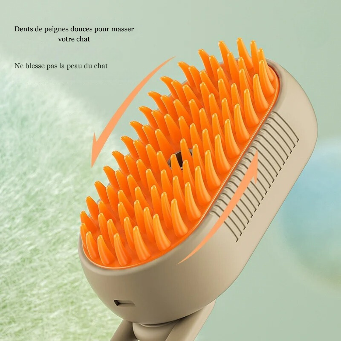 Brosse à vapeur