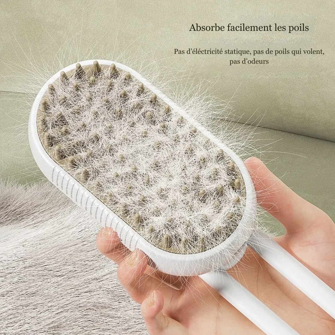 Brosse à vapeur