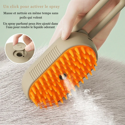 Brosse à vapeur