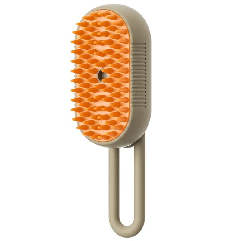 Brosse à vapeur