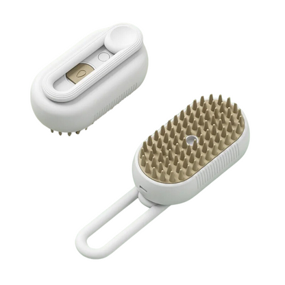 Brosse à vapeur